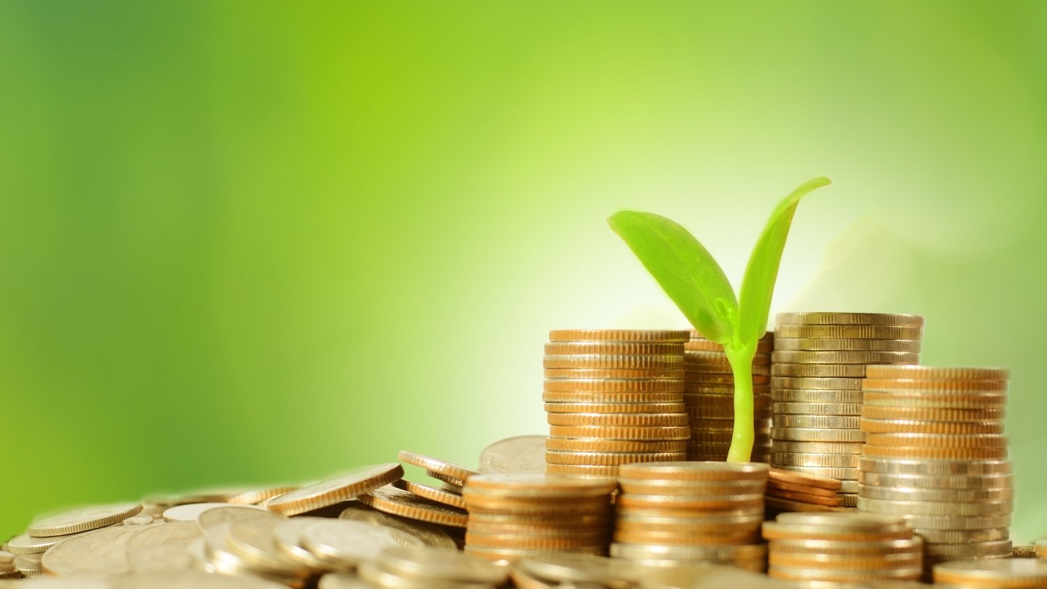 江苏省市场监管局组织开展全省电子计价秤市场秩序综合整治行动